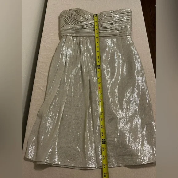 Silver Silk Vera Wang Strapless Dress - Picture 4 of 8